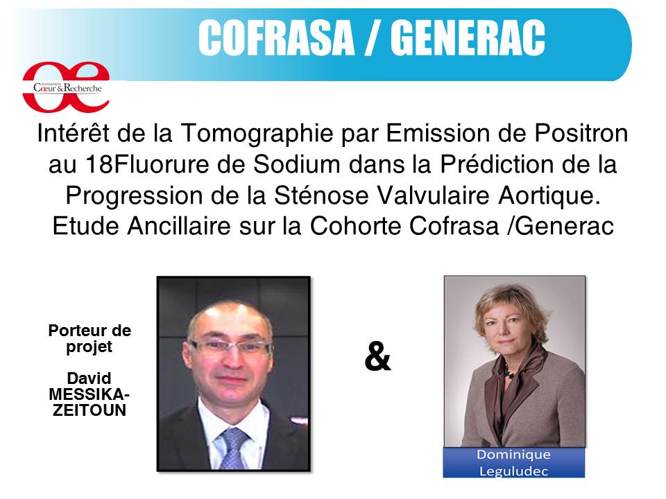 FCR_Projet_Cofrasa_Generac_Messika_Zeitoun_AAP2013